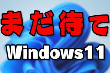 1637166198_maxresdefault-1173533-1593317-jpg