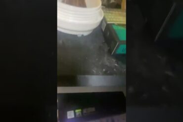 1647972302_maxresdefault-8230581-3550851-jpg