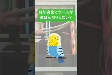 1662483305_maxresdefault-2145420-4288745-jpg