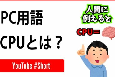 1666121974_maxresdefault-7019858-6304766-jpg