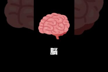 1666880352_maxresdefault-6994576-1316424-jpg