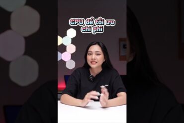 1668472425_maxresdefault-9153676-2848978-jpg