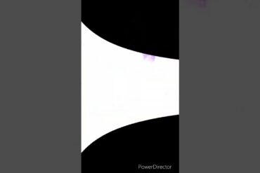 1668927388_maxresdefault-8261713-8571626-jpg