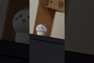 1669003126_maxresdefault-6895544-8452862-jpg