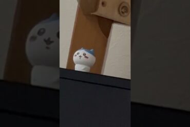 1669028418_maxresdefault-7248819-9980129-jpg