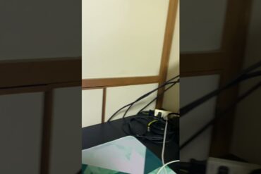 1686011274_maxresdefault-9446256-2306556-jpg